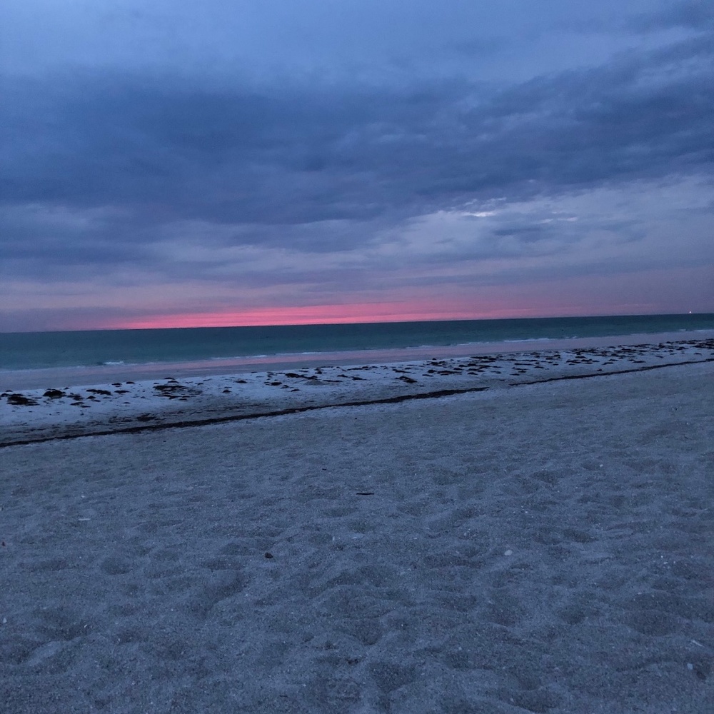 Meet your Posher, Rox